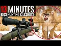 Download Lagu BEST HUNTING KILL SHOTS in 13 MINUTES
