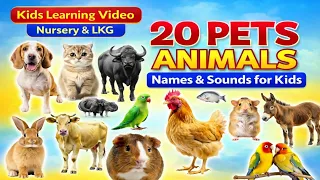 20 Pet Animals for Kids | Animals Name in English