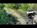 I Left a Trail Camera at a Dying Creek The Results Surprised Me