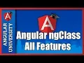 Angular ngClass Core Directive - Learn All Features