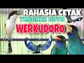 Lagu MASTERAN CENDET JUARA TENGKEK BUTO WERKUDORO  RAHASIA CETAK CENDET MATERI MEWAH
