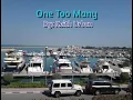 Keith Urban - One Too Many (feat. P!nk) Lyrics