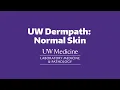 UW Dermpath Normal Skin