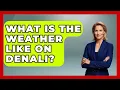 What Is The Weather Like On Denali - Chasing Big Fish