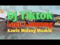 Download Lagu DJ TIKTOK LAMPUNG KAWIN MULANG MUAKHI || LAGU LAMPUNG