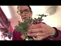 Bluestone Perennial Unboxing