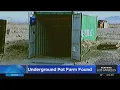 San Bernardino authorities uncover massive illegal underground marijuana grow operation
