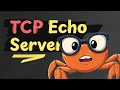 Building a TCP Echo Server in Rust is easy