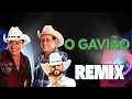 Download Lagu O GAVIÃO - GINO E GENO - VERSÃO GUILHERME SILVA