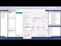 SSRS Reports Training - Indicators