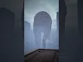 Download Lagu Trypogiants in a misty morning #trypophobia