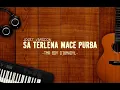Download Lagu ODY TMR - WAYASE - SA TERLENA - (RADELLA SS) #2k25