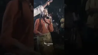 الفنانة شادن ماشة تتني 