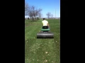 Using a lawn roller