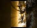 Sun ray effect tutorial - Application name