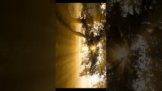 Sun ray effect tutorial - Application name