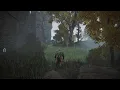 ELDEN RING Caria Manor secret area for stonesword key