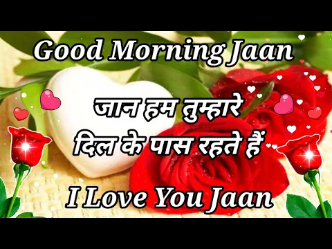 Download MP3 Good morning shayari 🌹 Good morning love shayari 🌹 I love you meri jaan 🌹 love shayari