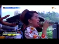 Download Lagu ASONIA, Daun Hiris versi Asonia
