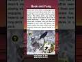 Download Lagu 🤝 The Raven-Wolf Friendship