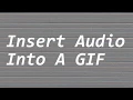 How You Can Insert Into A GIF