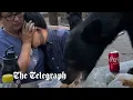 Download Lagu Black bear devours picnic as family freeze to keep themselves safe