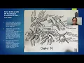 Artifact analysis presentation final