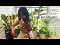 washing machine heart | mitski violin cover