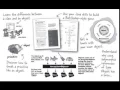 Best java book for beginners start java java for beginner