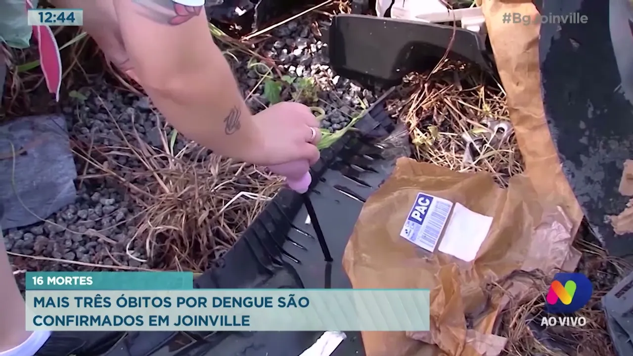 16 mortes: mais três óbitos por dengue são confirmados em Joinville