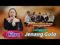 BOWO ASMORODONO | LANGGAM JENANG GULO - VOC. CITRA ▪︎ CAMPURSARI NEW ABAMA MUSIC