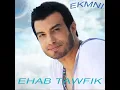 Hadi El Amar