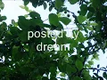 Sacred Spirit - Indian's Sacred Spirit -  O - Loa - Ki - Lee.wmv