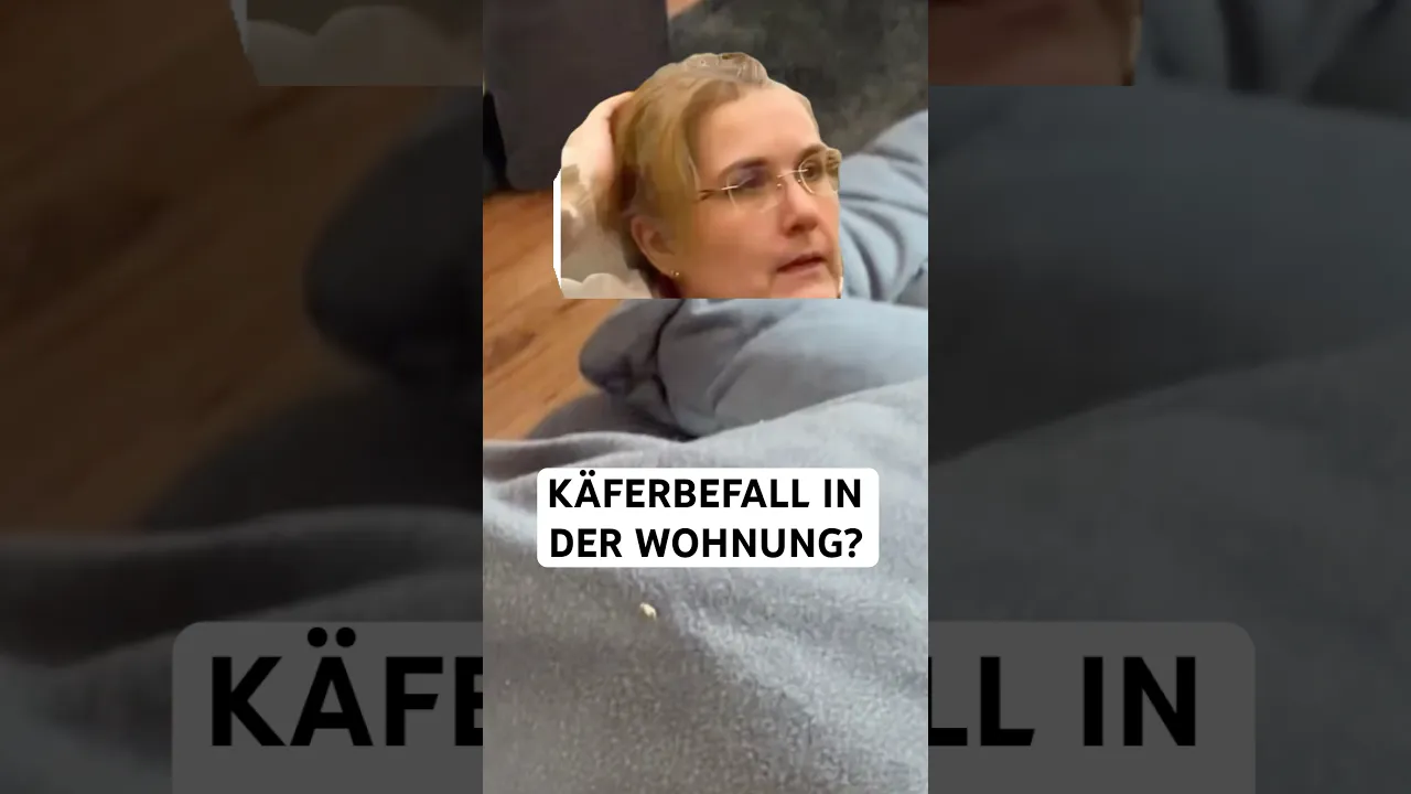 Käfer in der Wohnung können echt hartnäckig sein! 😭#Käferbefall #Teppichkäfer #wollkrautblütenkäfer