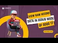 How to View Raw Data in Odoo 17 Debug Mode Odoo 17 New Features
