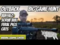 Hunting Buffalo Scrub Bull and Feral Pigs in the Australian Outback || Big Game || Thermal Hunt 2024