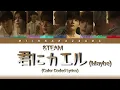 &TEAM - "君にカエル (Maybe)" - Color Coded Lyrics (Kan/Rom/Pt-Br)