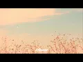 The Chainsmokers - Inside Out, ft. Charlee (Lyric Video)