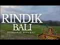 Download Lagu Suasana Desa dengan Rindik Bali Perpaduan Alam dan Budaya yang Unik