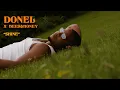 Donel x bees \u0026 honey - Shine (Official Visualizer)