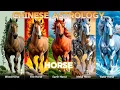 wood fire earth metal and water Horse Chinese Astrology
