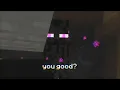 ranboo legit speaks to an enderman