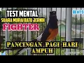 Download Lagu PANCINGAN PAGI HARI MELATIH MENTAL FIGHTER❗MURAI BONGKAR MATERI ISIAN CILILIN AUTO BIKIN EMOSI LAWAN