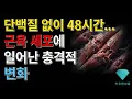 Lagu 단백질 없이 48시간    근육 세포에 일어난 충격적 변화