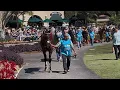 O Neill Duo Takes On Baffert s Quartet in the Grade 1 Del Mar Futurity
