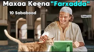 Maxaa Sababa Farxadda 10 Sababood 