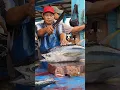 Download Lagu Amazing skills! fresh giant tuna cuts for buyers #tuna #fish #food #seafood #streetfood #skills