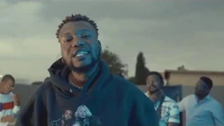 calm lion la vida loca feat tolassmo official video