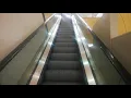 Escalators - Dillard s
