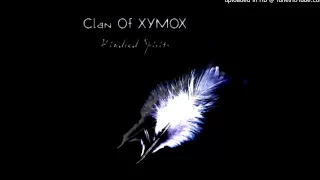 Download Clan Of Xymox - Decades (Joy Division Cover) MP3